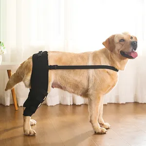 Pet Dog cú đúp đầu gối cho acl với kim loại bên ổn định hỗ trợ thêm làm giảm đau có thể điều chỉnh phía sau chân niềng răng cho chó