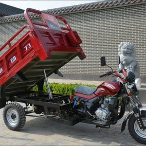 Tricycle à benne basculante, moto cargo 150cc 200cc, tricycle agricole à trois roues - Product Image 3