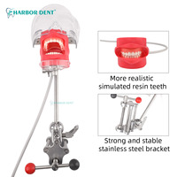 Equipo de Cabeza de Maniquí para Simulación Dental de Alta Calidad al por Mayor de Fábrica, Herramientas de Entrenamiento para Enseñanza Dental
