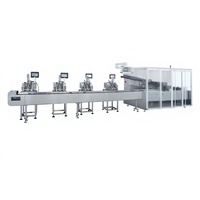 Machine d'emballage de cartons sur convoyeur, manipulateur de charge, machine d'emballage de boîtes en carton