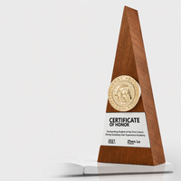 Trophée triangulaire en bois massif de noyer noir, badge personnalisé pièce de monnaie dorée, médaille créative pour employé exceptionnel, récompense personnalisée