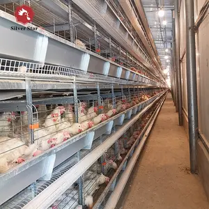 High quality automatic poultry farm equipment design animal cages for layer chicken