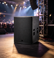 Subwoofer professionnel compact de 12 pouces (poids net de 28 kg, 42 Hz-1500 Hz) Conception passive 8 ohms pour bars, clubs et installations fixes