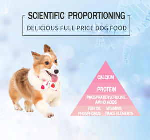 Vente directe d'usine en Chine de nourriture sèche <span class=keywords><strong>pour</strong></span> chiens adultes à haute teneur en protéines, palable, à base de poulet, sans céréales, <span class=keywords><strong>20</strong></span> <span class=keywords><strong>kg</strong></span> - Product Image 4