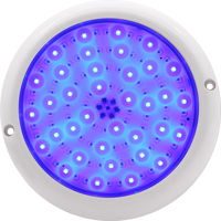 IP68 Unterwasserleuchte AC12V RGB Schwimmbad-LED-Licht ABS+PC Harzgefüllte LED-SPA-Poolleuchte mit Fernbedienung für Aufstellpools