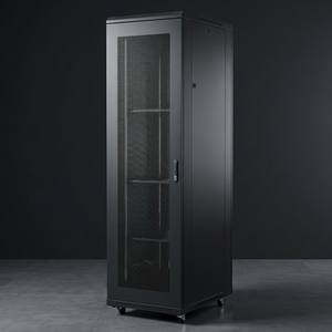 Armoire de serveur robuste 42U avec porte ventilée, capacité de charge de 1000 kg, rack réseau 19 pouces pour centre de données - Product Image 1