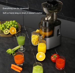 AB ABD Ev Tipi Tam Otomatik Çok Fonksiyonlu Elektrikli Meyve Sıkacağı Paslanmaz Çelik Bıçaklar Sessiz Motor. 1200W <span class=keywords><strong>2026</strong></span> Son Model - Product Image 6