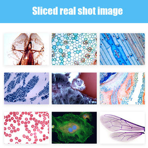 Compatibile con Microscopi e <span class=keywords><strong>Telecamere</strong></span> <span class=keywords><strong>Domestiche</strong></span> e Internazionali, <span class=keywords><strong>Telecamere</strong></span> ad Alta Definizione da 5MP e <span class=keywords><strong>Telecamere</strong></span> con Interfaccia USB 2.0 - Product Image 6