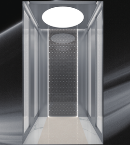 홈 엘리베이터 KD-TJJ-K-08 솔질된 스테인리스 홈 엘리베이터 - Product Image 1