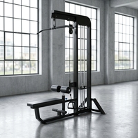 Appareil de musculation 2-en-1 pour tirage vertical et rameur, avec pile de poids, double fonction, pour entraînement du dos, équipement de fitness commercial OEM