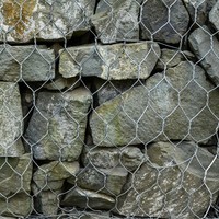 Cage de gabion hexagonale en PVC ASTM A975 80x100mm, panier de gabion en fil de 2,7mm pour la conservation des sols