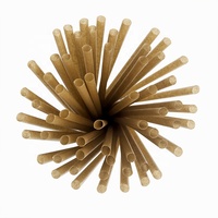 Pailles en papier de canne à sucre biodégradables de 8 pouces pailles à boire jetables écologiques pour les fêtes de restaurant à domicile compostables
