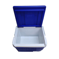 Glacière rigide isotherme 6L pour extérieur, pêche, aliments, bière et vin, avec poignée