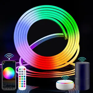 LED Neon RGB Strip 5M Kit 12V 6Mm Lampu Tali Neon Luar Ruangan Tabung Neon Tahan Air dengan Remote Control Aplikasi