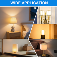 Ampoules LED à filament SMD G45 2700K E12 E14 avec couvercle en verre transparent pour éclairage résidentiel et industriel, ambiance chaleureuse
