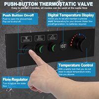 Mitigeur de douche à affichage de la température à bouton-poussoir 3 voies noir mat avec contrôle du volume indépendant