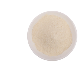 Polvo de Extracto Herbal de Corteza Blanca de Grado Alimenticio (1 kg, Malla 100), Vitamina, Especia Deshidratada, Condimento en Botella, Marca SWT, Jiangsu, Venta al por Mayor - Product Image 2