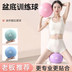 Yoga Ball Pilates Exercise Ball 25cm Anti Explosion For Adults Fitness Core Training Balance Workout Equipment - Product Image 2