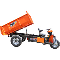 LK540 Mini camion à benne basculante électrique/moto cargo équipée de composants de base, moteur et moteur