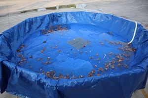 Precio barato Fácil de limpiar Cubierta de piscina impermeable Instalación rápida Bches Vnementiel - Product Image 3