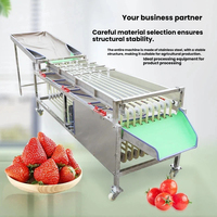 Optische Sorteermachine Voor Tomaten Avocado 'S Kersen Appels Fruit & Plantaardige Sorteerapparatuur