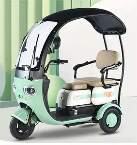 2024 Adult Passenger Cargo Fat Vacuum Tire High Speed 600W Electric Tricycle Hot Sale 2 Seat Electric 3 Wheel Tricycles