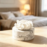 Diffuseur de parfum d'ambiance en plâtre aromatique en gros, en céramique, gypse, porcelaine, motif fleur de pivoine, pour la maison, avec huiles essentielles