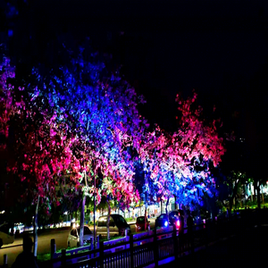 ไฟโปรเจคเตอร์ LED RGB ปรับสีได้ พร้อมลำแสงปรับได้ สำหรับแสงสว่างทางสถาปัตยกรรม - Product Image 4