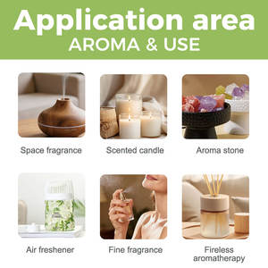 Aceite Aromático Líquido <span class=keywords><strong>de</strong></span> Grado Hotelero al por Mayor con Extracto <span class=keywords><strong>de</strong></span> Plantas - Aroma Personalizado OEM ODM para Difusor <span class=keywords><strong>de</strong></span> Aroma en Vestíbulos y Spas - Product Image 4