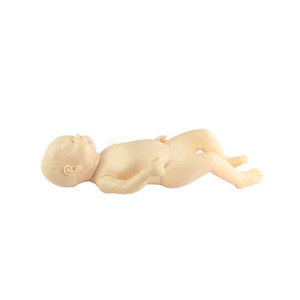 महत्वपूर्ण संकेत सिमुलेशन फ़ंक्शन के साथ इंटरैक्टिव नवजात देखभाल मॉडल - Product Image 3