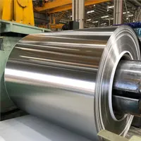 Hot and Cold Rolled Stainless Steel Coils, 201, 202, 301