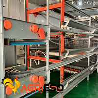 Système de cages à poulets en batterie Agrieso avec collecte manuelle des œufs et du fumier pour l'élevage avicole