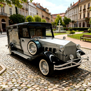 Cercueil électrique noir personnalisé à 4 roues, style moderne classique, pour services funéraires, à vendre - Product Image 1