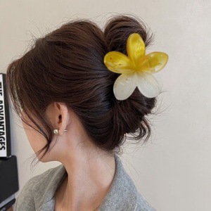 Pinces à cheveux pour femmes en plastique dégradé de couleur estivale, fleurs de <span class=keywords><strong>frangipanier</strong></span> colorées, accessoires mignons pour filles - Product Image 3