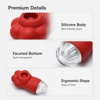Vibrateur à succion en forme de patte de chat pour femmes, stimulateur clitoridien à impulsions d'air, silicone souple, rechargeable par USB, 10 fréquences, 100% étanche
