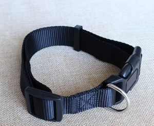 Lebendiges und langlebiges rotes Hunde halsband mit stabiler Kunststoffs chnalle und Metall-D-Ring für sichere und stilvolle Haustier kleidung - Product Image 4