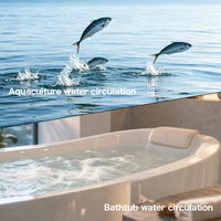 Pompe de baignoire à hydromassage à faible bruit WASSERMANN, 110v 60hz, vente en gros