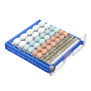 Incubatrice per Uova di Pollo, Anatra, Oca e Quaglia da 65, 204, 256, 400 Posti - Product Image 6