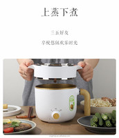 Marmite de cuisson électrique en acier inoxydable, mini casseroles, verres à chaud électriques, frites