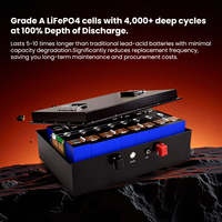 Batterie lithium-ion LiFePO4 72V 135Ah 100Ah 200Ah 50Ah pour voiturette de golf, 4000 cycles, boîtier métallique