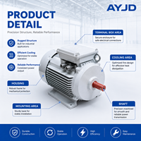 Moteur électrique industriel asynchrone triphasé à induction, robuste, antivibrations, 45 kW, 60 CV, 4 pôles, 6 pôles, pour ventilateur et applications minières