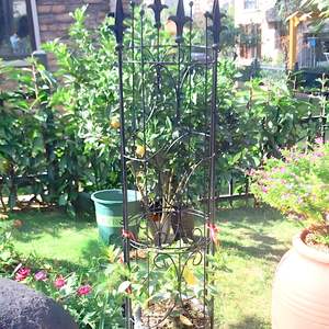 Arco <span class=keywords><strong>de</strong></span> Metal para Plantas Trepadoras, Soporte <span class=keywords><strong>de</strong></span> <span class=keywords><strong>Enrejado</strong></span> para Plantas en Maceta <span class=keywords><strong>de</strong></span> Interior - Product Image 2