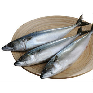 سمك الماكريل الياباني المجمد WR سمك فيليه سمك مجمد - Product Image 1