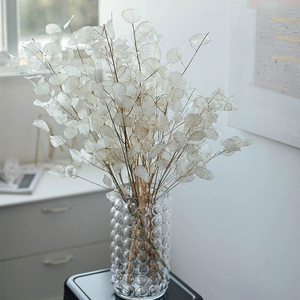 Bouquet de fleurs séchées naturelles en gros Fleurs séchées décoratives réelles Fleurs séchées <span class=keywords><strong>Lunaria</strong></span> <span class=keywords><strong>Annua</strong></span> - Product Image 5