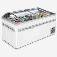 Congelador Horizontal de Gran Capacidad de 600L, de Una Sola Temperatura, Directo de Fábrica, para Helados