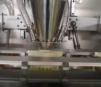 Machine d'emballage automatique de granulés alimentaires en plastique à double tête de remplissage et de scellage pour sachets préformés à fermeture éclair SG-180Z
