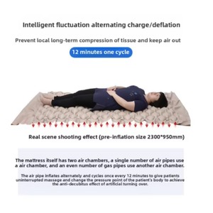 Factory Hot Selling Medical Bed Bubble Medical air Mattress Anti Bedsore with Pump air Cushion Anti Bedsore Mattress - Product Image 4