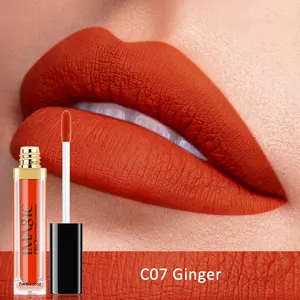 Lungo indossare liquid shimmer lip matte lip gloss in polvere led lipgloss