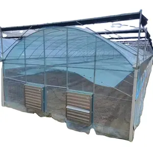 China Fabrik Großhandel individuelles Einzelspannungs-Polycarbonat-Garten Gewächshaus vorgefertigtes Aluminium-Glasshaus