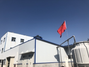 제조업체 공급 은행 나무 락톤 은행 나무 <span class=keywords><strong>Biloba</strong></span> 추출물 분말 - Product Image 3